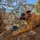 beryllllll