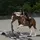 Horserider4life