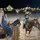 kyn_horses