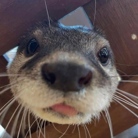 Hello-There