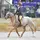 pixieriverstables 