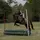 ella.harris_eventing