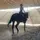 ♡✩ alaina.eq