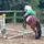 TGL.eventing