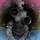 ALEX G