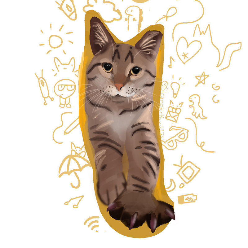 Stranger Paws