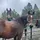 chloe_eq