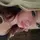 Taylee_RC#1