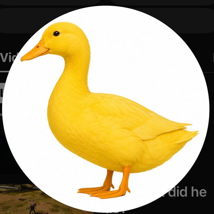 DERRALDUCK 