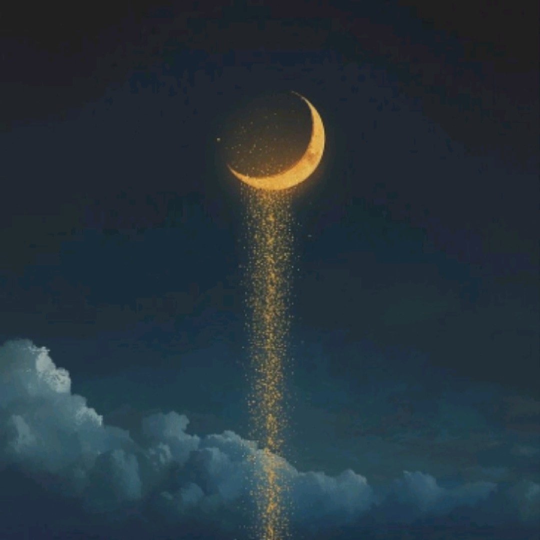 moonlight 🌙 🖤