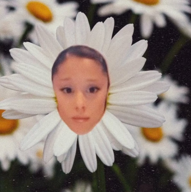 ItsssIvyyy