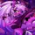 (*sagethewitch*)