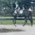 Horse live