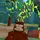 Fry guy12275 45