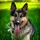 GSD_Moose