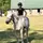 ✝️@Harper.eq✝️