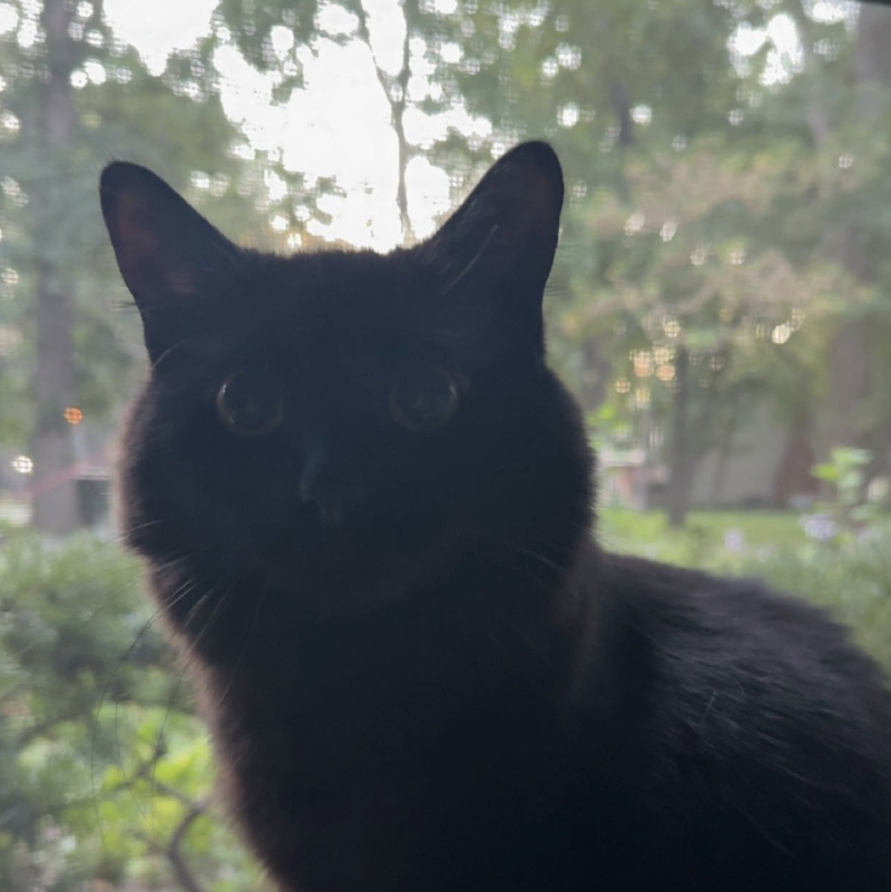 ♥️Clara♥️