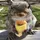 TheHungrySquirrel