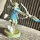 Link25