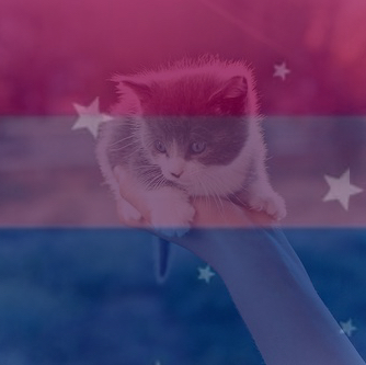 🍊🫷🏳️‍🌈SC4R<3🏳️‍⚧️🫸🧊
