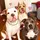 Godiva,Karma,Enzo