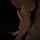Ranch_ranchel