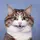 Herfani [LDR]