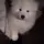 bb_xqcon
