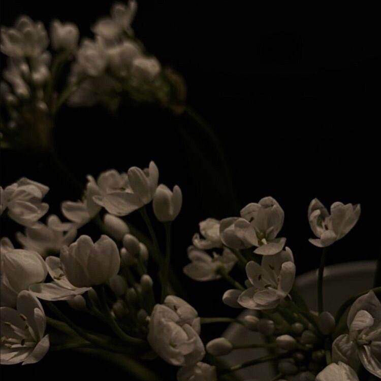 𝓝𝓺𝓗𝓸𝓷𝓺☬(𓅰) 