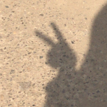 butterfly [LDR]