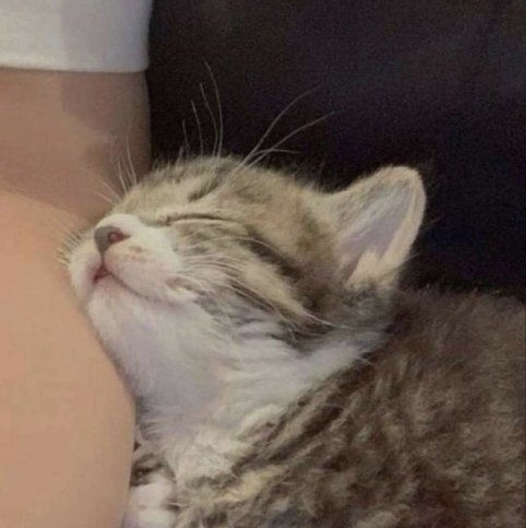 sami✨