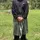 Khaliq Muhaimin