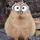 imcapybaranarak