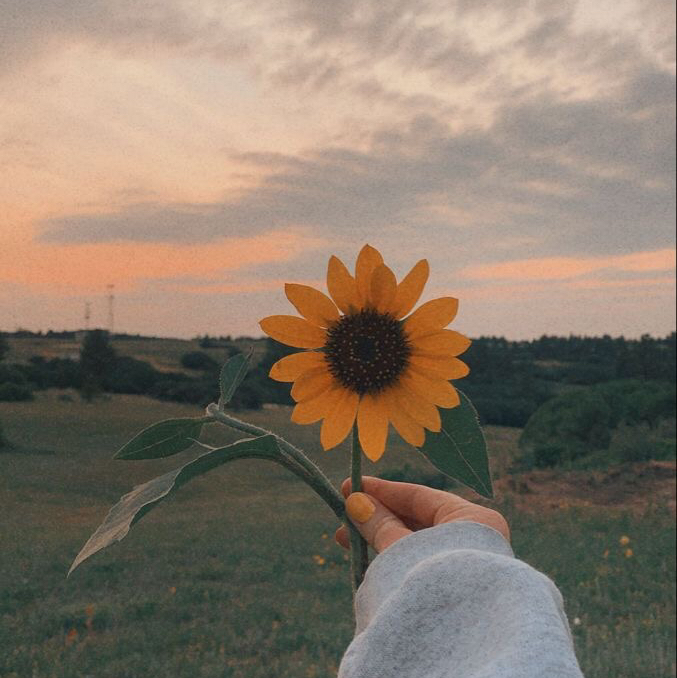𝒯𝑒𝓂𝓅𝓁𝒶𝓉𝑒 𝓇𝒶𝓃𝒹𝑜𝓂