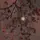 🌙🍒꩜cherries_moon꩜🍒🌙