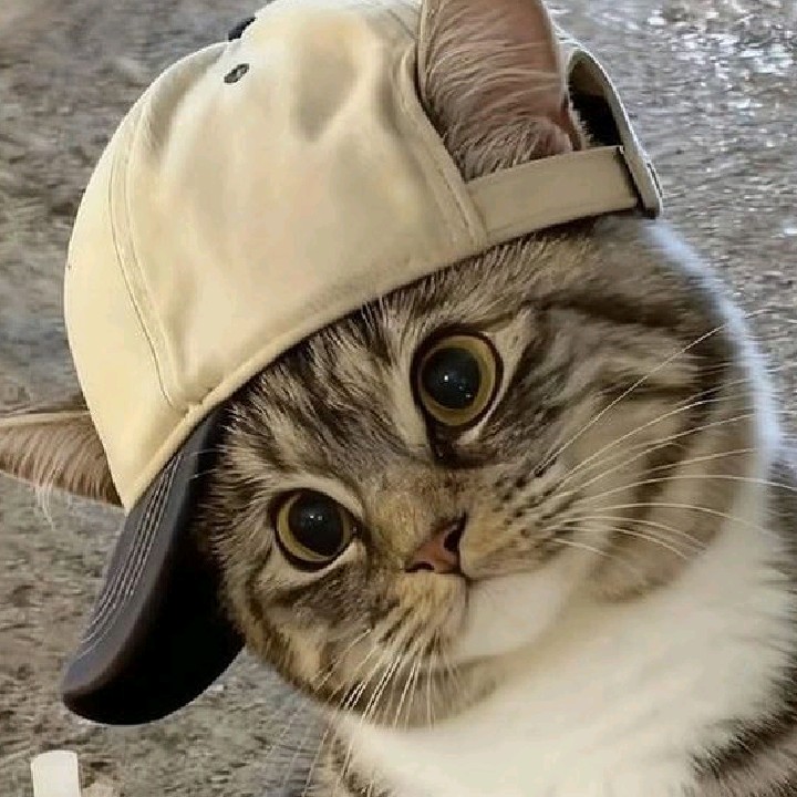 aadyy⁠メNC