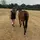 Hollyandmia_eq