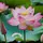 TK Huyen0512