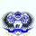 √√Tamorapusat01[RFS]