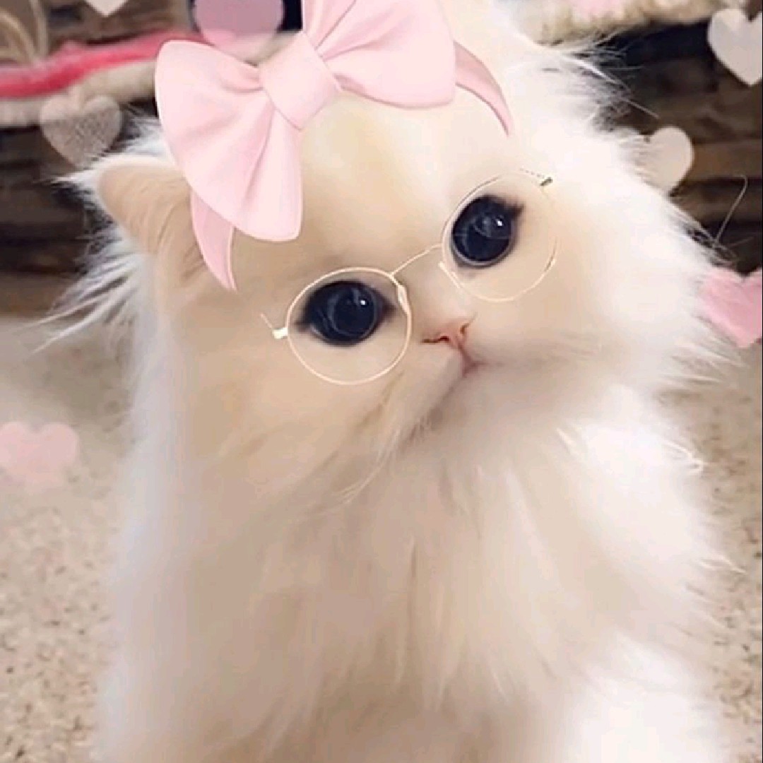Clara Louise