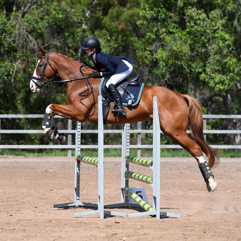 Rue Rides