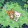 아온🌿