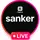 SankeR