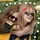 ★Mandarynka_Phachi★
