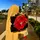 unknown_laa