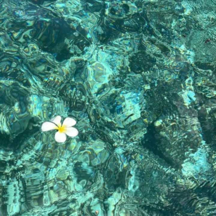 𝐬𝐞𝐚 [LDR]