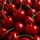 Cherry 🍒