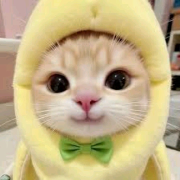 Ｌｙａａ` ୨ৎ [AS]