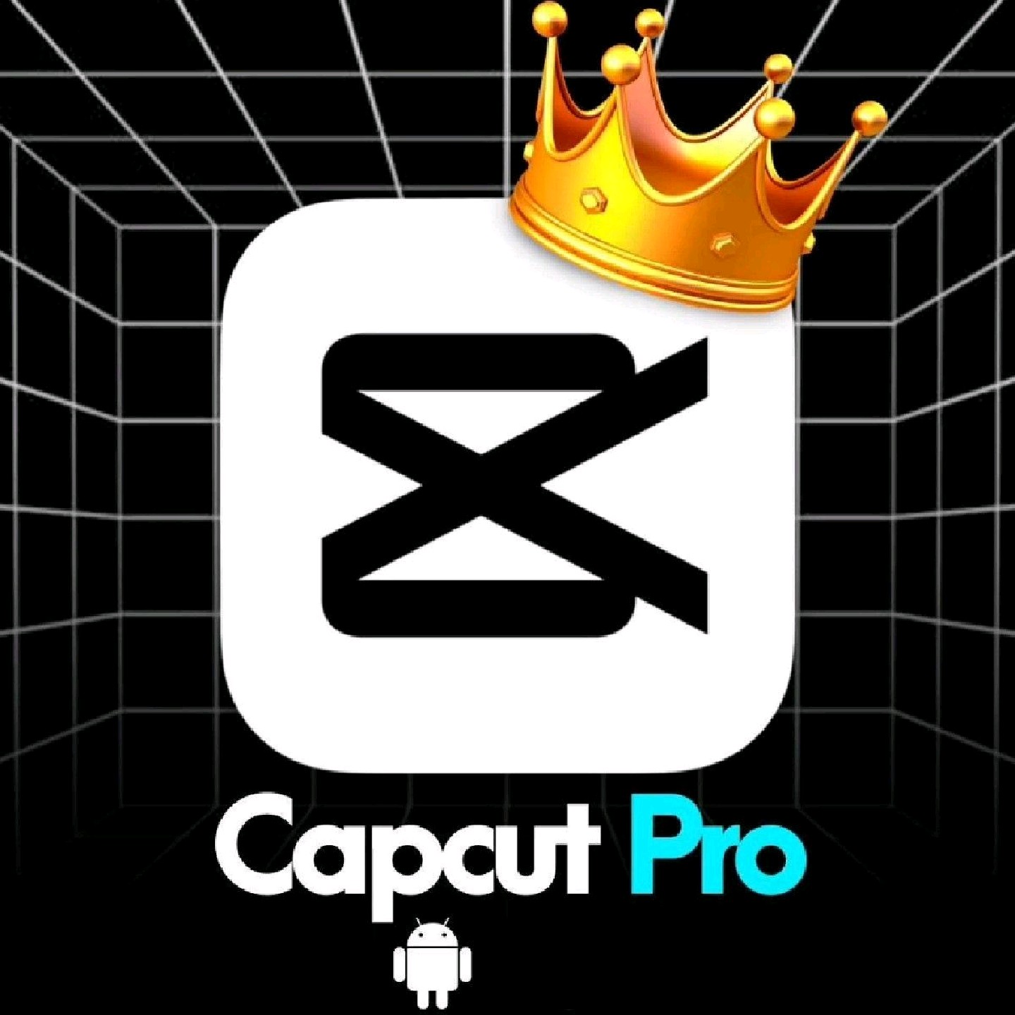 Capcut Pro🗝