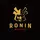 Ronin tkd